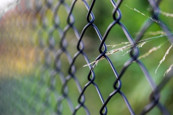 Common Ground: Shaping Regions Across Borders Program
