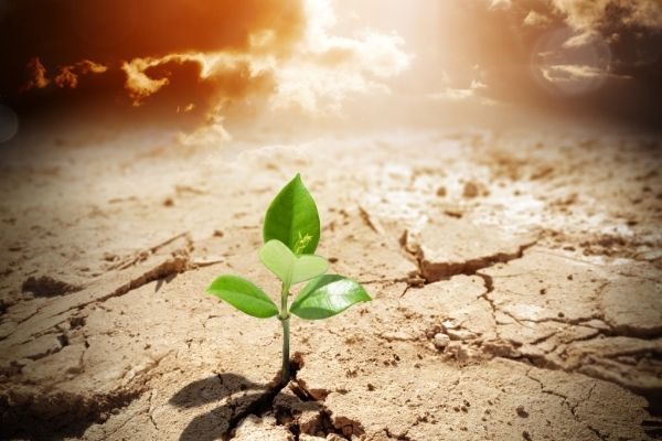 Grants for Supporting in implementation of Infrastructure for Climate Resilience Growth Project (India)