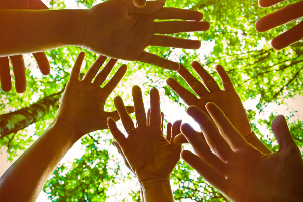 Papakura Local Grant Programme (New Zealand)