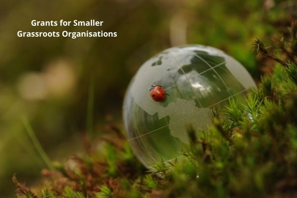 This Dutch Small Endowment Fund will assist Grassroots NGOs in the growth phase [Seed Money for New Initiatives]