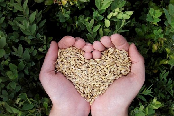 Food Access and Recovery Grants in Canada