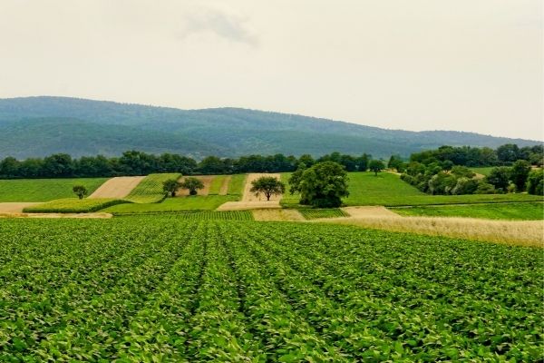 Alexandria "Difference Maker" Grants (United States)