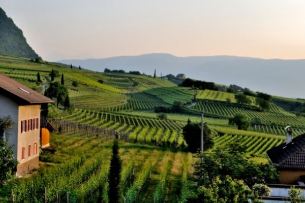 2022 Farm Viability Grant Program (US)