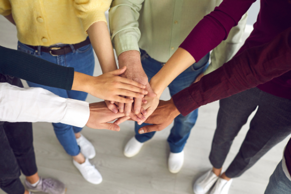YSEALI Academic Fellowship