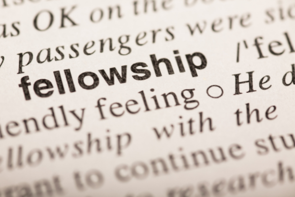 YSEALI Academic Fellowship