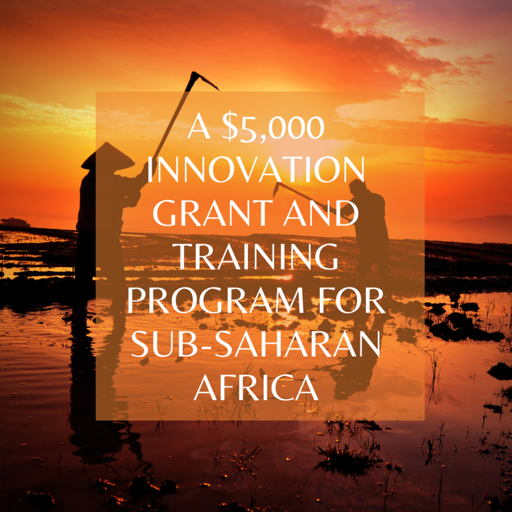 A $5,000 Innovation Grant and Training Program for sub-Saharan Africa