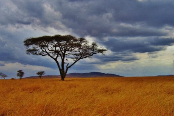 Grassland Ecological Potential and Restoration Effectiveness Evaluation (US)