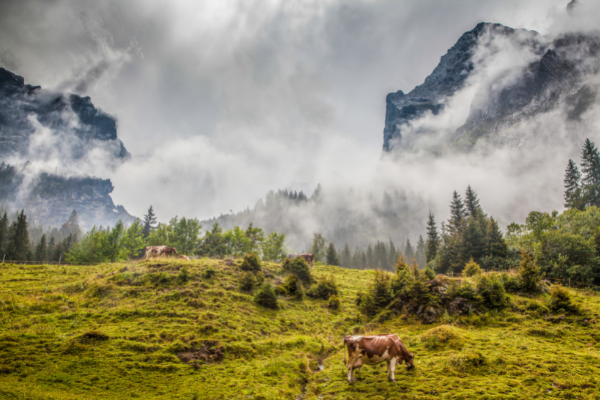 Interreg Alpine Space offers 2021-22 Classic Projects