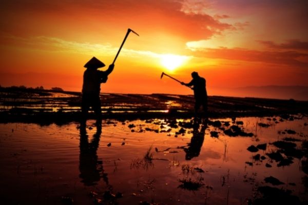 Call for Applications: 2023 GreenBiz Programme to achieve SDGs in Kenya