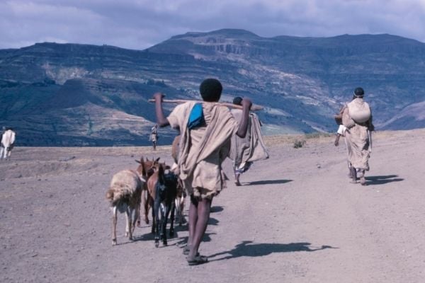 National NGO Program on Humanitarian Leadership ( Kenya and Somalia)