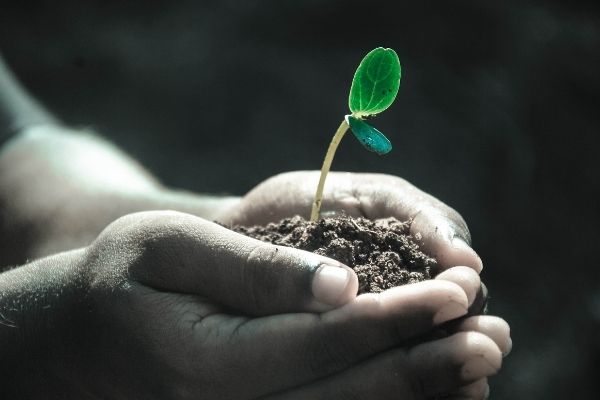 2022 Innovate WithIN Pitch Competition in the US