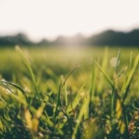 Apply Now! Agri-StartUps for RKVY-RAFTAAR's Cohort 4 in India - fundsforNGOs Apply Now! Agri-StartUps for RKVY-RAFTAAR's Cohort 4 in India