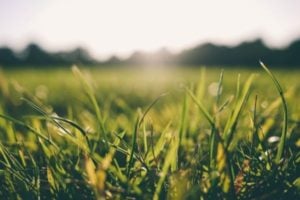 Apply Now! Agri-StartUps for RKVY-RAFTAAR's Cohort 4 in India
