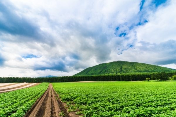 Fostering Agritech Startups for Augmenting Livelihood: An Open Challenge (India)