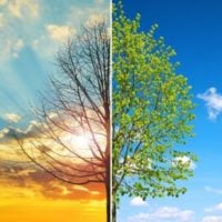 Open Call: Future Climate Venture Studio - fundsforNGOs Open Call: Future Climate Venture Studio