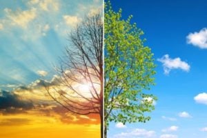 Open Call: Future Climate Venture Studio