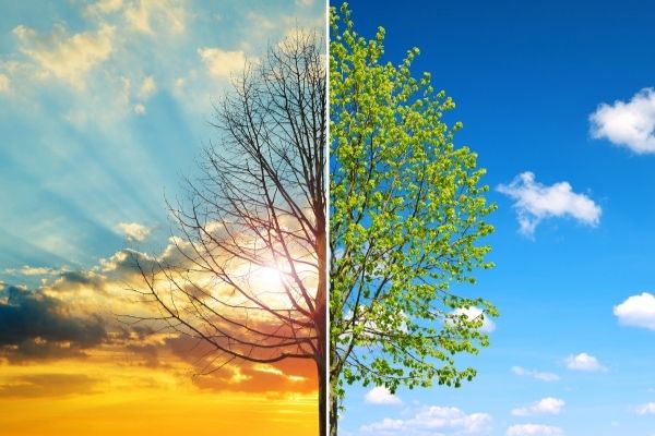 Open Call: Future Climate Venture Studio