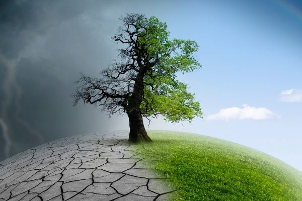 Earth Rising Foundation Grant Program - United States