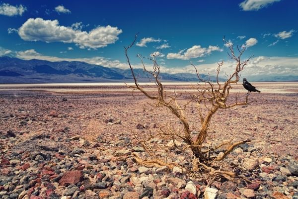 WaterSMART Drought Response Program: Drought Resiliency Projects for 2023 (US)