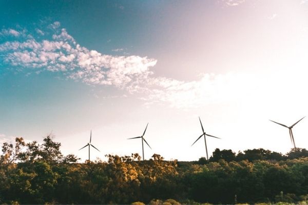 BUILD UP Skills - National Platforms on Energy Efficiency Skills for the Clean Energy Transition Program