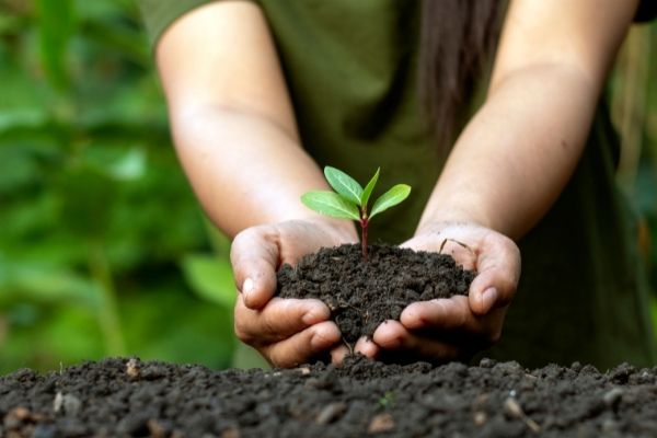 2022 Victorian Landcare Grants Program (Australia)