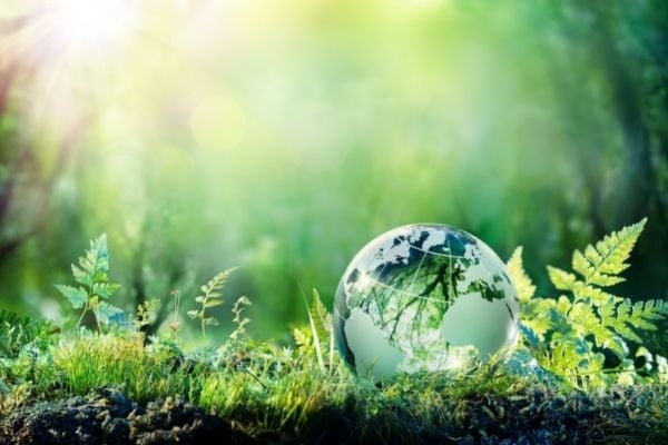 Grants to Raise Awareness on Black Carbon and Co-pollutant Emissions in Central African Republic