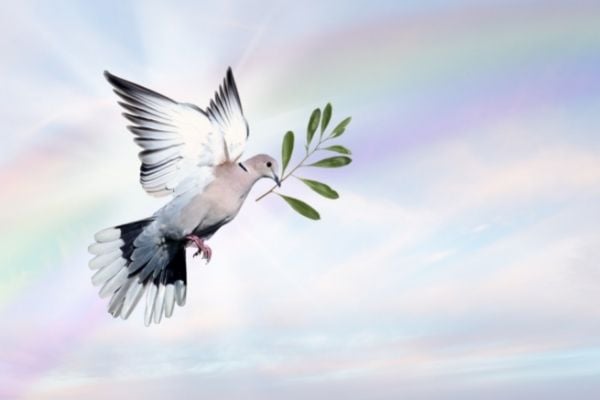 Call for Proposals: Strengthening Peace, Reconciliation and Social Cohesion in South Sudan