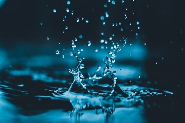 Integrating Wastewater-Based Epidemiology and Clinical Surveillance for Public Health and Utility Operations Project