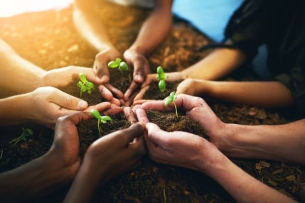 2022 GrowthAfrica Accelerator Programme