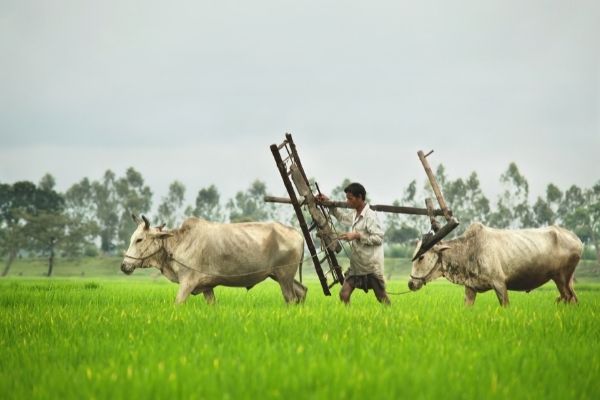 Apply Now for Abhinav- Nurturing Ideas in Agri Innovation (India)