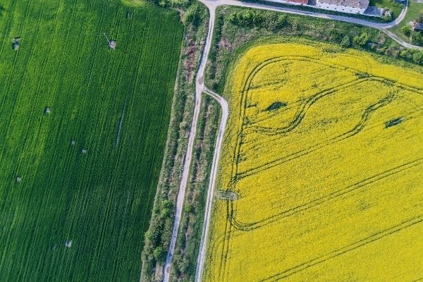2nd Call for Proposals 2022: Bioeconomy in the North