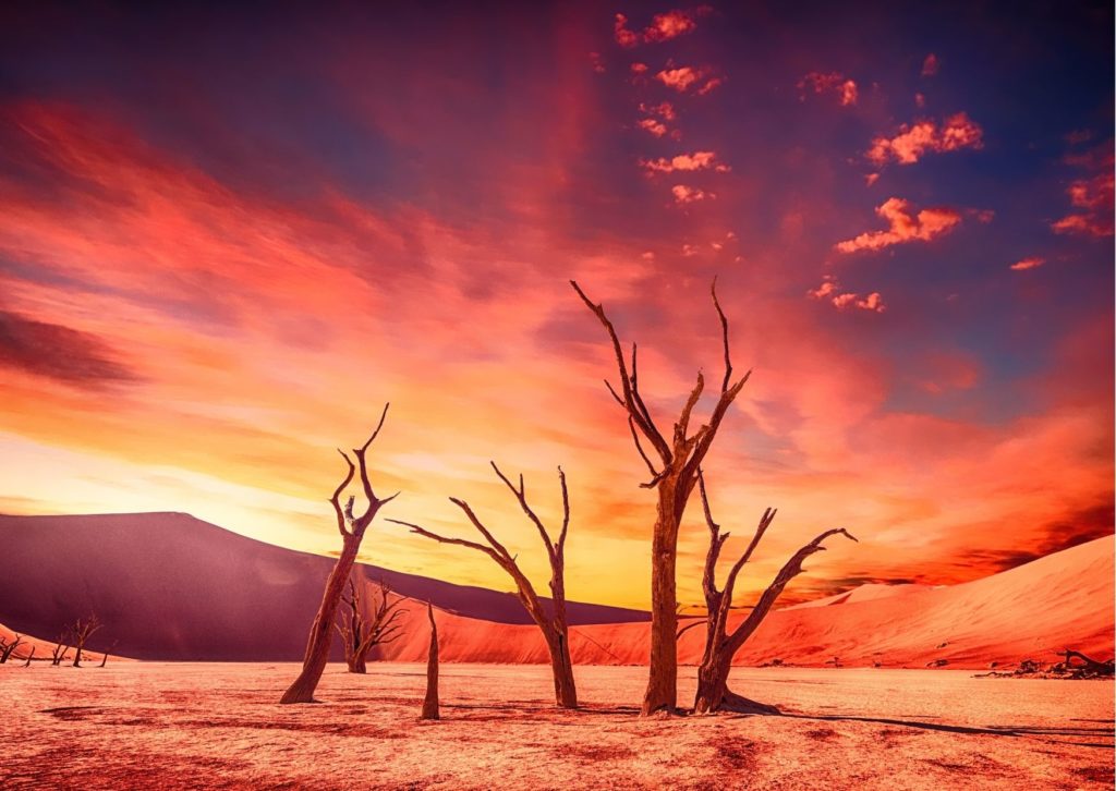Australian Ethical Foundation's Visionary Grants Program