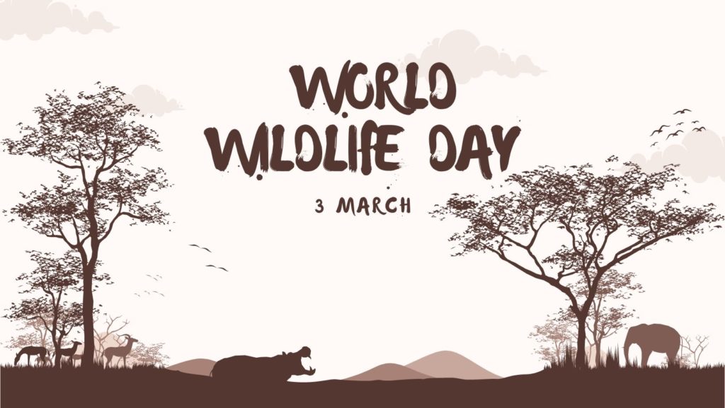 World Wildlife Day | New Grant Opportunities for NGOs actively addressing Conservation Issues worldwide