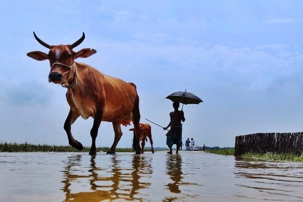 CSO/NGO Bootcamp: Effective Communications on Biodiversity