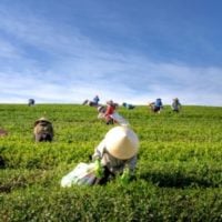 Climatetracker.org announces Solutions Reporting Grant - fundsforNGOs Climatetracker.org announces Solutions Reporting Grant