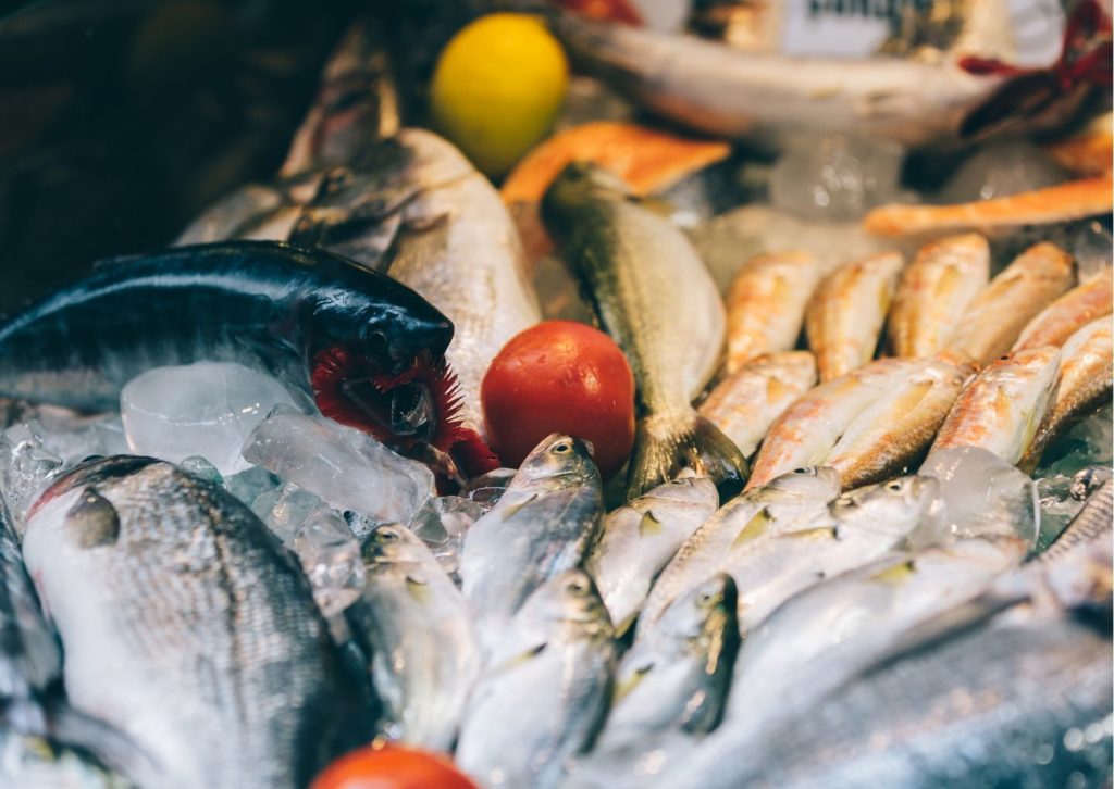 Family Forest Fish Passage Program in the US
