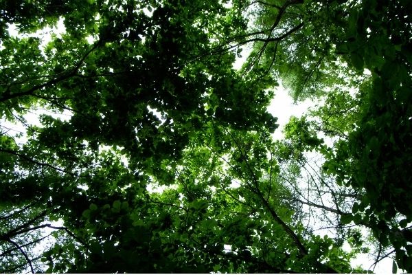Open Call to Local Government Units for Co-financing of Air Protection Measures - Serbia