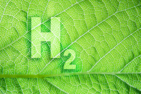 CFPs: Namibian Green Hydrogen and PTX Pilot Projects Programme