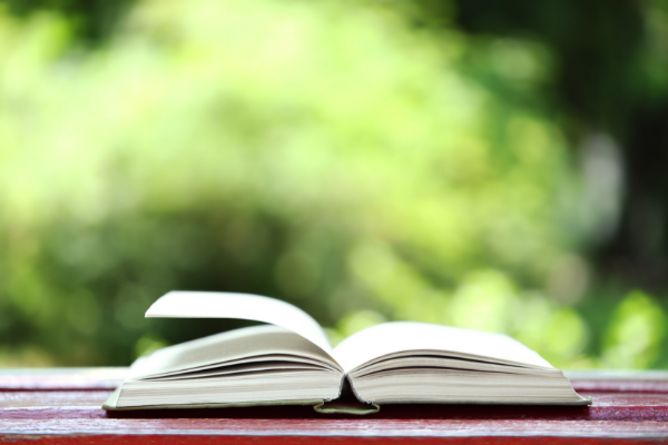 European Commission: Call Open for Circulation of European literary Works Program