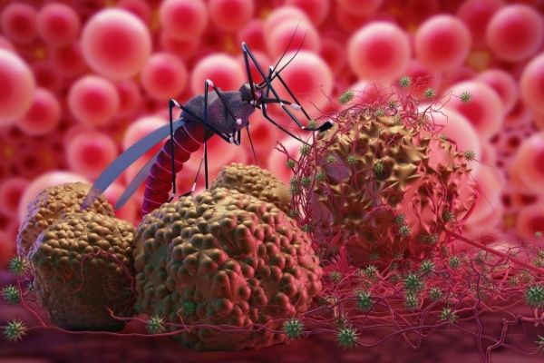 USAID: Grants for Tanzania Malaria Case Management Activity (TMCM)