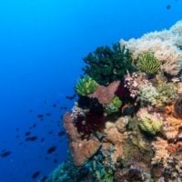 Marine Parks Grants Program in Australia