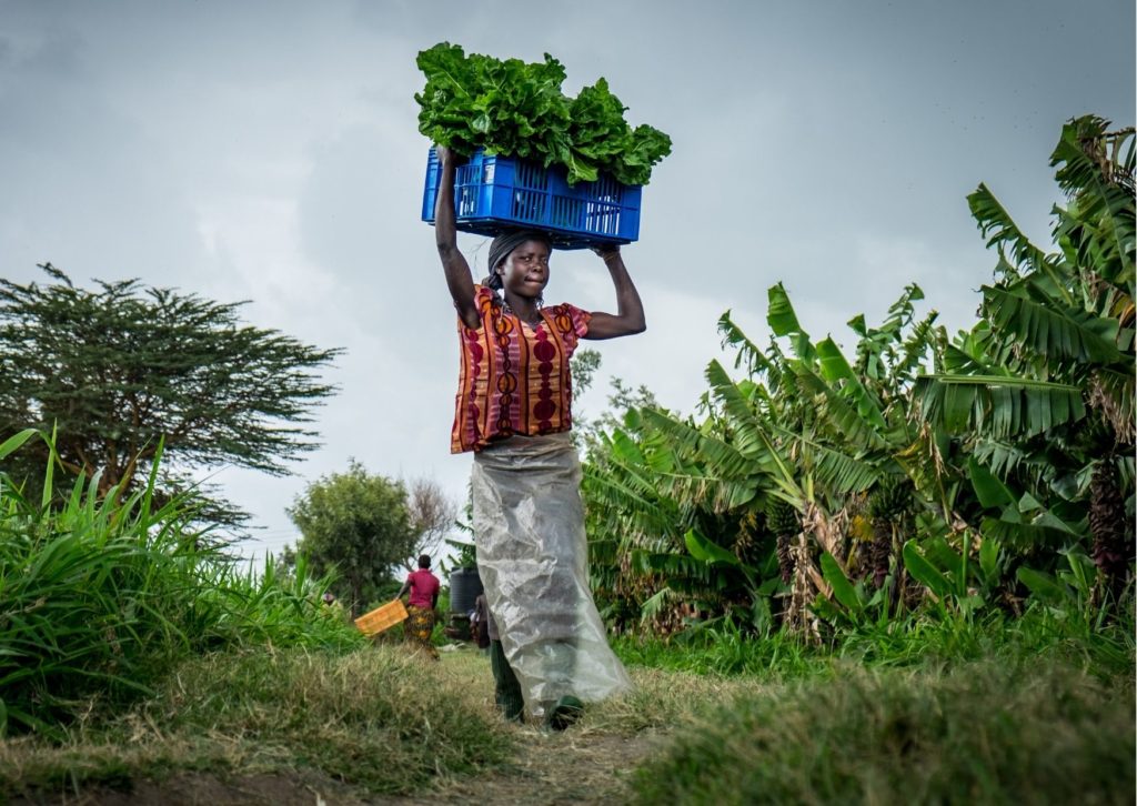 GAIN Kenya Request for Proposals: Reviewing and Mapping Existing Traceability and Distribution Mechanisms