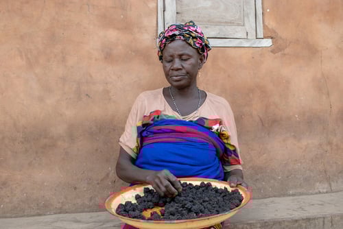 Ambassador’s Special Self-Help Grants Program in Gambia