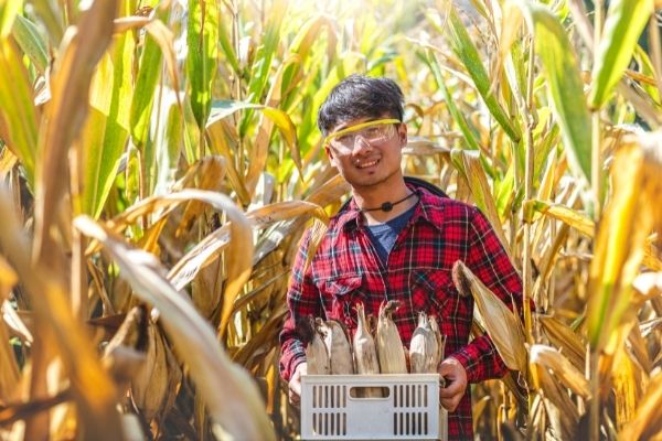 Smart Farm Grant Challenge in India
