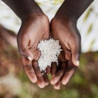 Call for Concept Papers: Great Green Wall Initiative (Zambia)