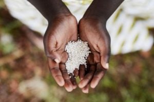 Call for Concept Papers: Great Green Wall Initiative (Zambia)