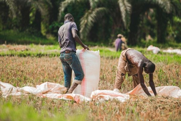 WFP IGNITE Food Systems Challenge Uganda