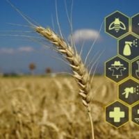 AgroHack Lantmannen Research Foundation's Grant: Agriculture and Machinery (Sweden)2022 in Nigeria - fundsforNGOs Lantmannen Research Foundation's Grant: Agriculture and Machinery (Sweden)