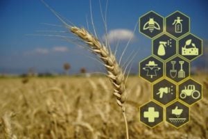 Lantmannen Research Foundation's Grant: Agriculture and Machinery (Sweden)