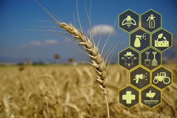 Lantmannen Research Foundation's Grant: Agriculture and Machinery (Sweden)